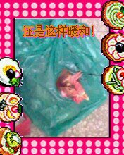 好幸福的鸡107 / 作者:熟悉的陌生人 / 帖子ID:67371