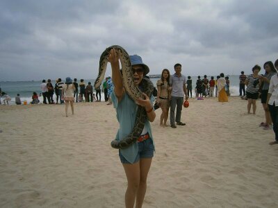 这美女口味真重529 / 作者:熟悉的陌生人 / 帖子ID:67372