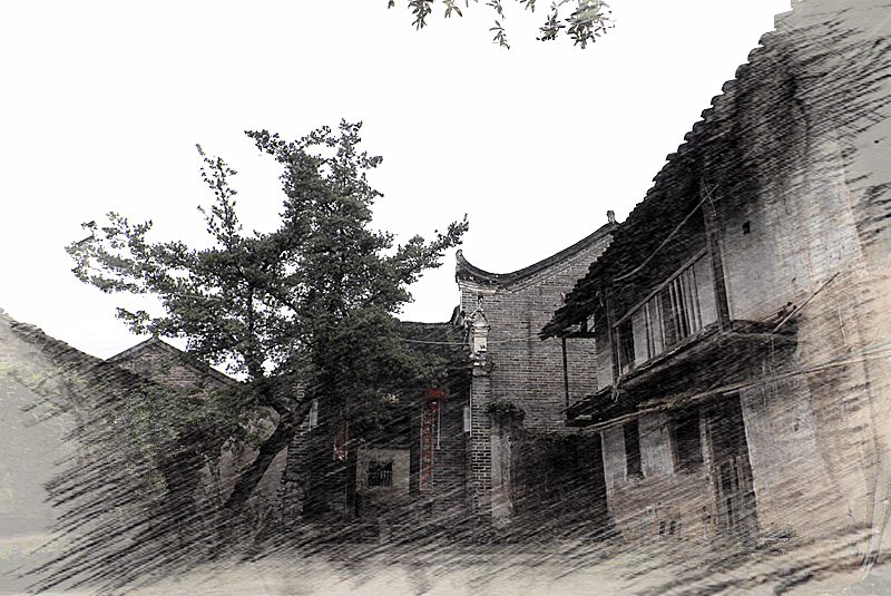 素描杨溪（第三届杨溪民俗文化节欢迎您！）109 / 作者:柚子壳※ / 帖子ID:67483