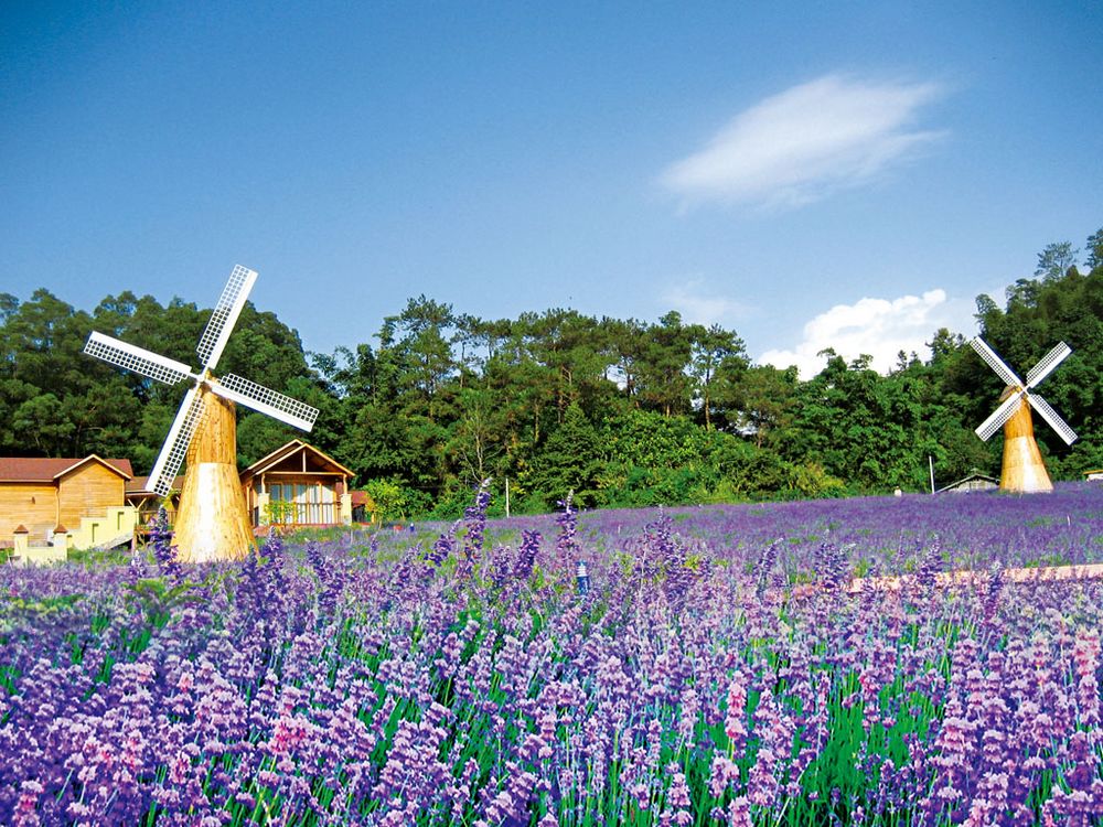 2013盘龙峡·夏季露营帐蓬节自驾活动召集476 / 作者:8264桂林大本营 / 帖子ID:67648