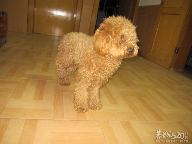 找不到女朋友就是这个下场896 / 作者:北辰 / 帖子ID:67933