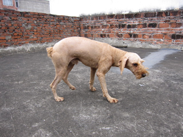 找不到女朋友就是这个下场26 / 作者:北辰 / 帖子ID:67933