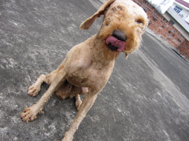 找不到女朋友就是这个下场196 / 作者:北辰 / 帖子ID:67933