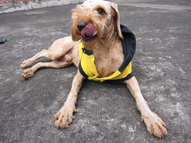 找不到女朋友就是这个下场51 / 作者:北辰 / 帖子ID:67933