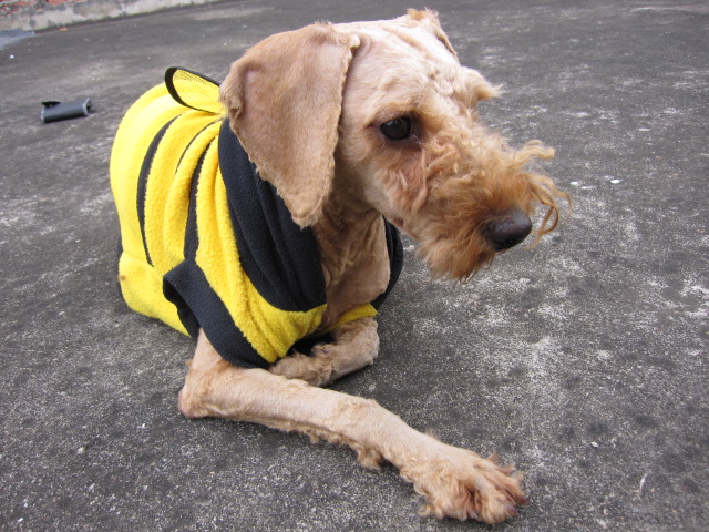 找不到女朋友就是这个下场725 / 作者:北辰 / 帖子ID:67933