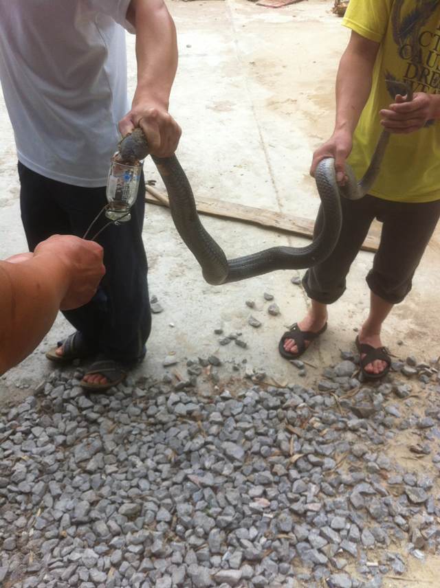 好久没发贴了。直接上图~~718 / 作者:∑⌒不过_如此 / 帖子ID:67863