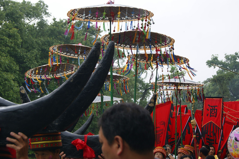 西岭杨溪村首届牛王节现场照片929 / 作者:翠峰紫阳 / 帖子ID:68085