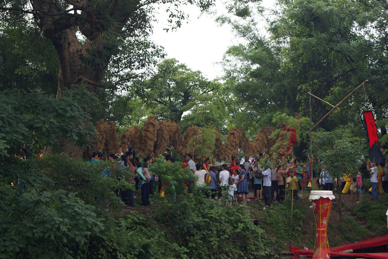 西岭杨溪村首届牛王节现场照片433 / 作者:翠峰紫阳 / 帖子ID:68085
