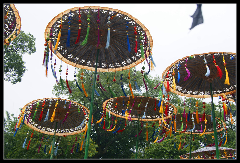 西岭杨溪村首届牛王节现场照片957 / 作者:翠峰紫阳 / 帖子ID:68085