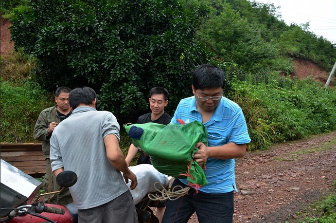 恭城520社区带领众人慰问灾后山区465 / 作者:星想事成 / 帖子ID:68121
