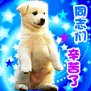 花890 / 作者:瑶乡看兰 / 帖子ID:68163