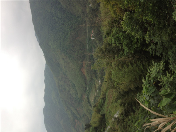 资源八角寨，看山看云海滴好地方124 / 作者:东顺电脑 / 帖子ID:68319