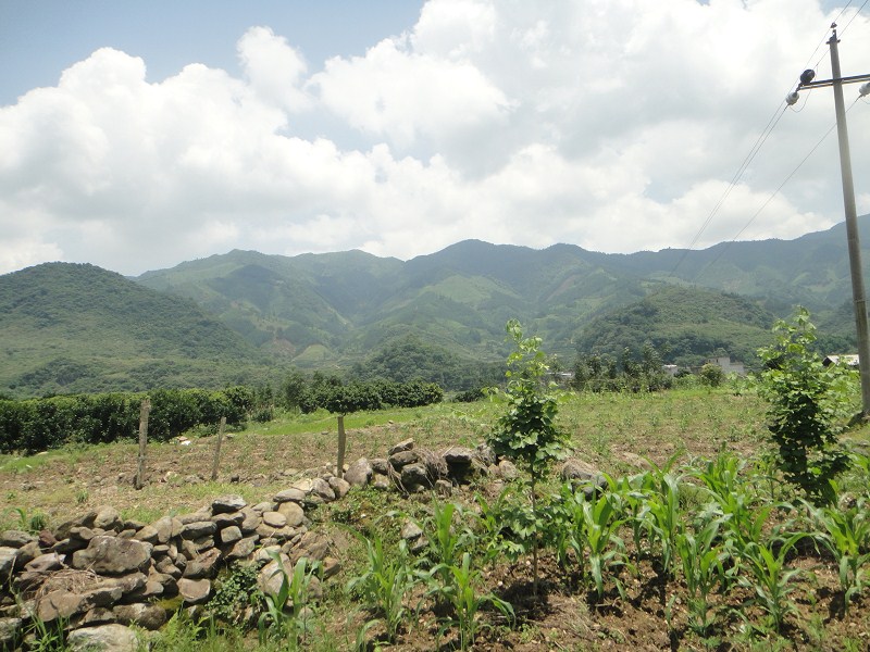 你们最熟悉的地方514 / 作者:爱迩美全屋定制 / 帖子ID:68336