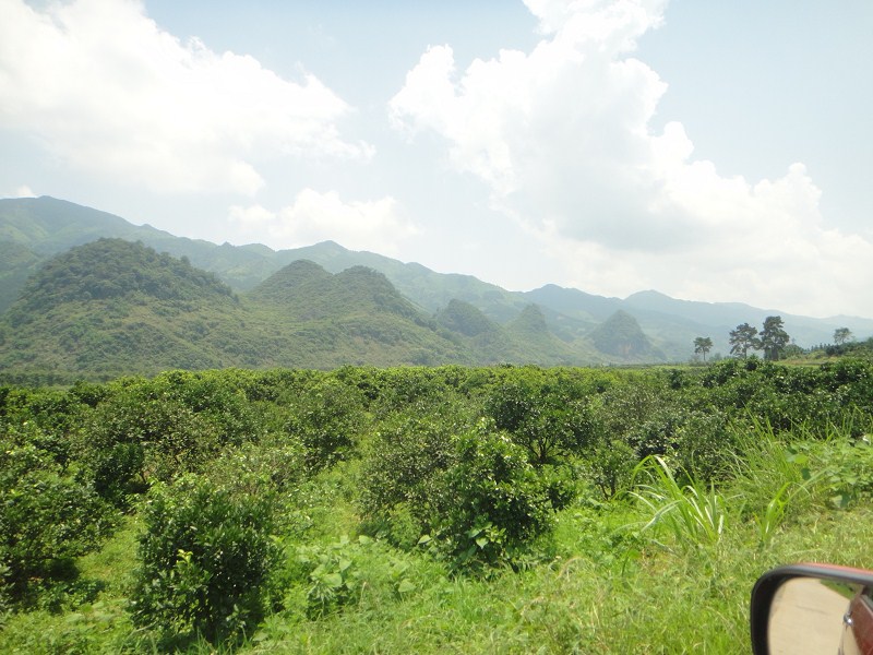 你们最熟悉的地方632 / 作者:爱迩美全屋定制 / 帖子ID:68336