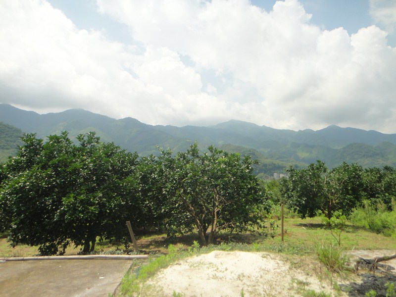 你们最熟悉的地方795 / 作者:爱迩美全屋定制 / 帖子ID:68336