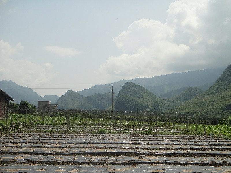 你们最熟悉的地方457 / 作者:爱迩美全屋定制 / 帖子ID:68336