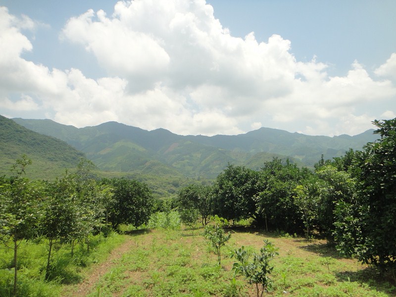 你们最熟悉的地方658 / 作者:爱迩美全屋定制 / 帖子ID:68336