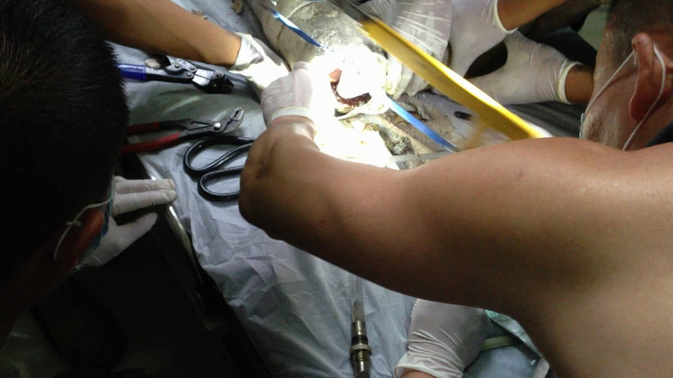 弃婴被卡马桶下水道 众人接力救援上演奇迹840 / 作者:笑看$颩囩 / 帖子ID:68404