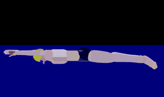 雷帝生俺的乡亲们，最近偶得到一本武林秘籍，就是赫赫有名的水上漂，811 / 作者:wapcloud / 帖子ID:69307