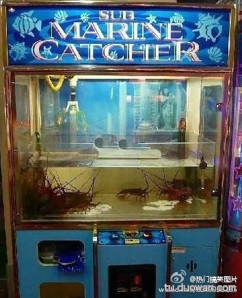 补上昨天没上传成功的图778 / 作者:喵呜 / 帖子ID:70021