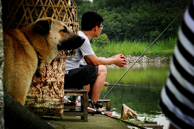 恭城美食群杀猪活动精彩景集！精彩照片加载中！！44楼更精彩！！632 / 作者:柚子壳※ / 帖子ID:69911