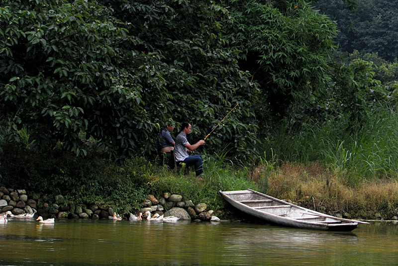 恭城美食群杀猪活动精彩景集！精彩照片加载中！！44楼更精彩！！279 / 作者:柚子壳※ / 帖子ID:69911