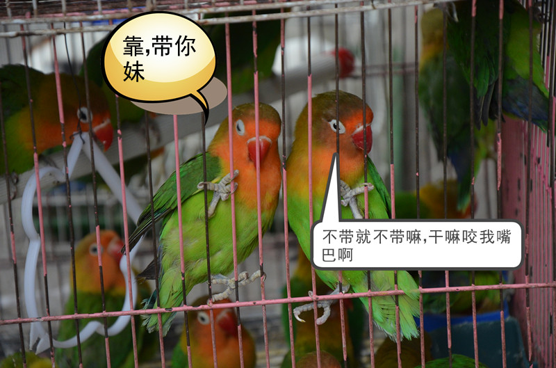 发个长沙拍的片子17 / 作者:弹奏低调的战歌 / 帖子ID:93470