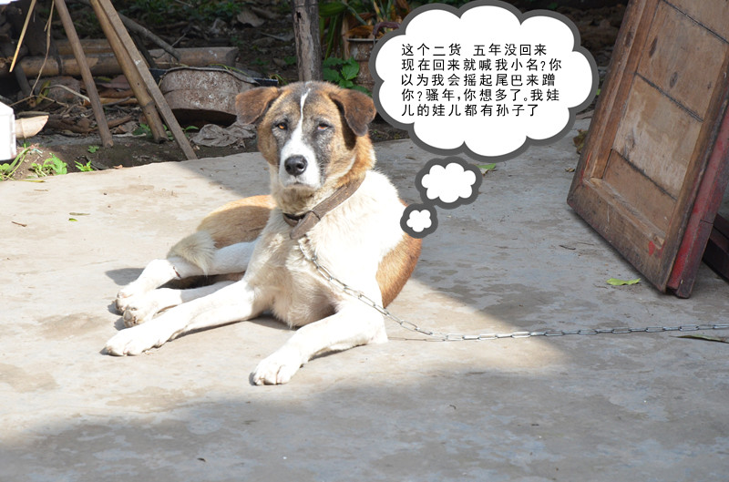 发个长沙拍的片子421 / 作者:弹奏低调的战歌 / 帖子ID:93470