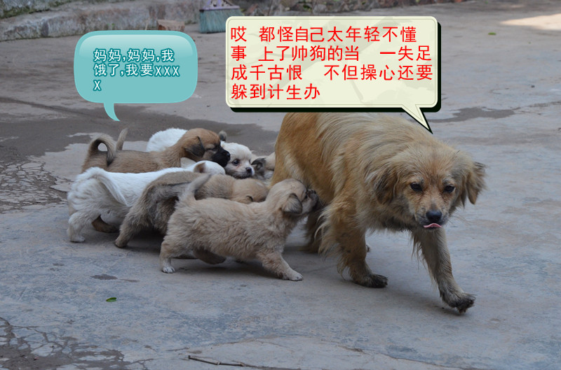 发个长沙拍的片子647 / 作者:弹奏低调的战歌 / 帖子ID:93470