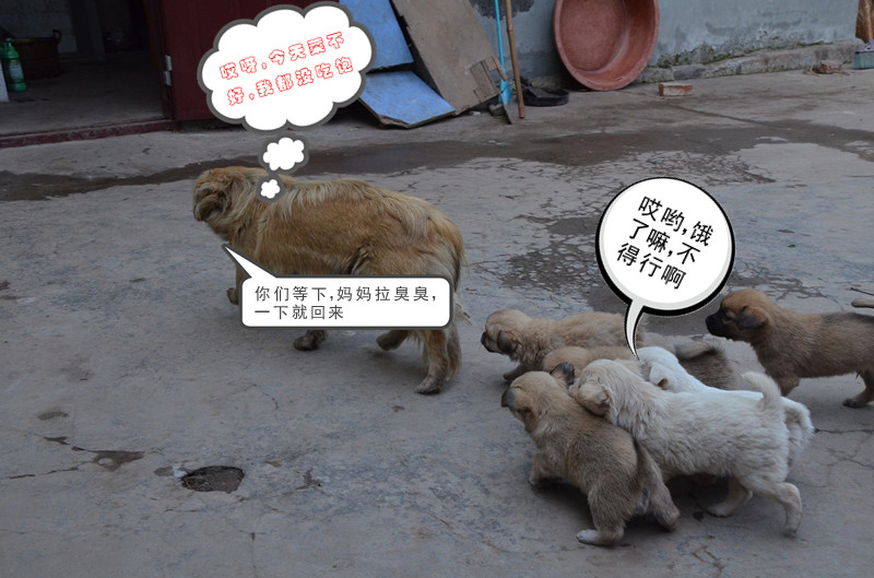 发个长沙拍的片子870 / 作者:弹奏低调的战歌 / 帖子ID:93470