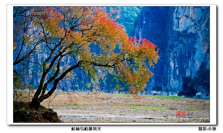 蓝天白云下的窗外风光241 / 作者:与孤独共舞 / 帖子ID:70180