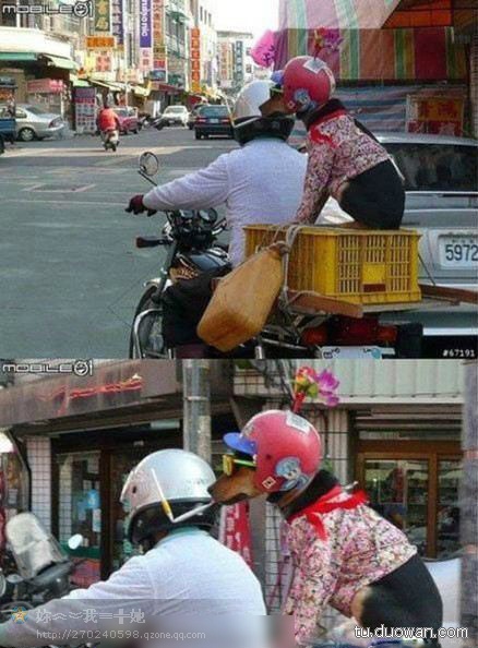 来点囧图469 / 作者:喵呜 / 帖子ID:70292