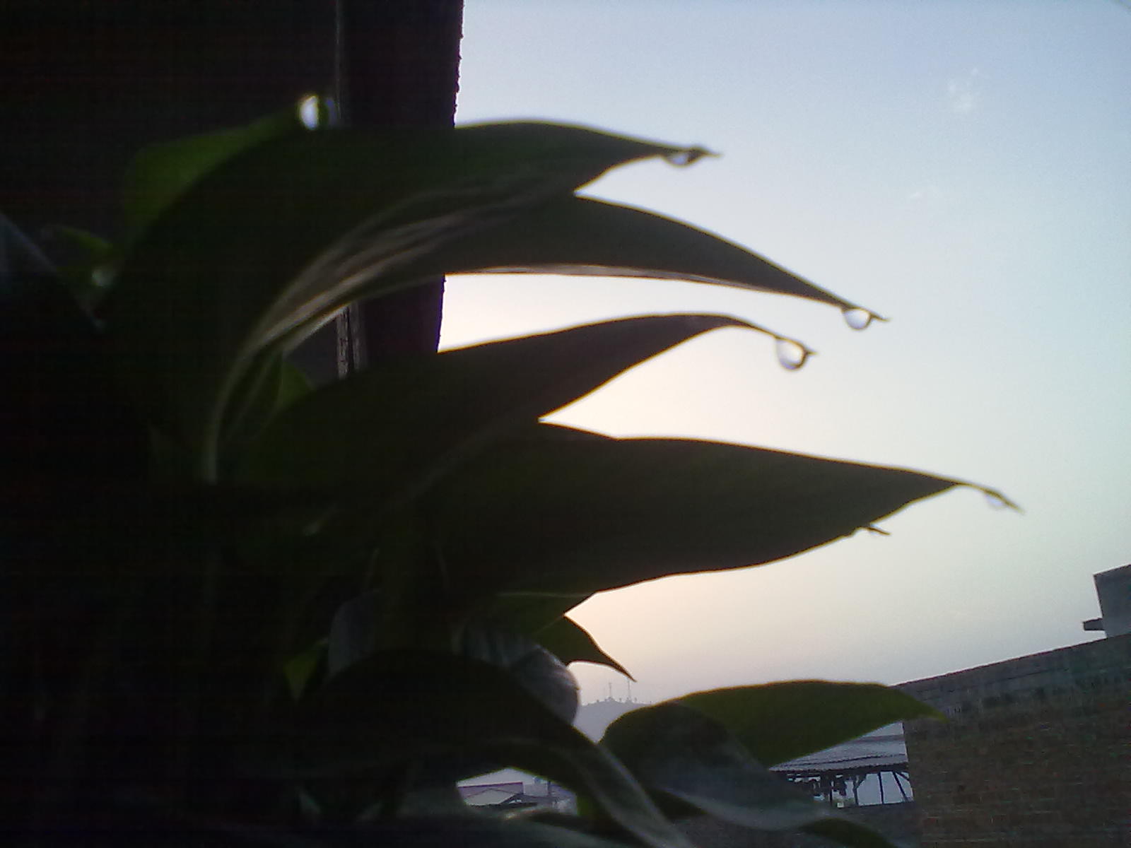 下宋小学“义教”一天505 / 作者:蔷薇Jolie / 帖子ID:87664