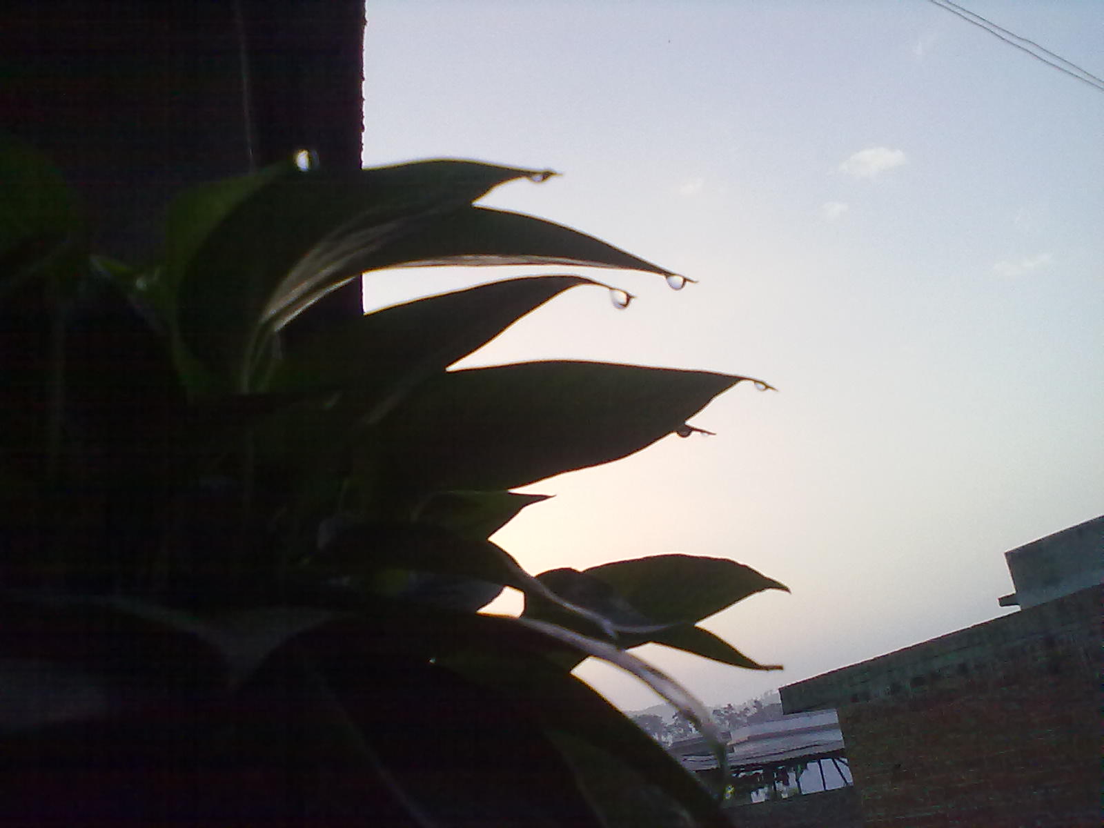 下宋小学“义教”一天364 / 作者:蔷薇Jolie / 帖子ID:87664