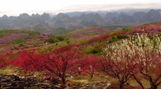 这不仅仅是灌水哟。435 / 作者:麗児mmmmm / 帖子ID:91487