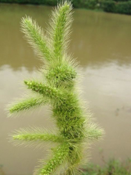 又发点图片灌水766 / 作者:喵呜 / 帖子ID:91576