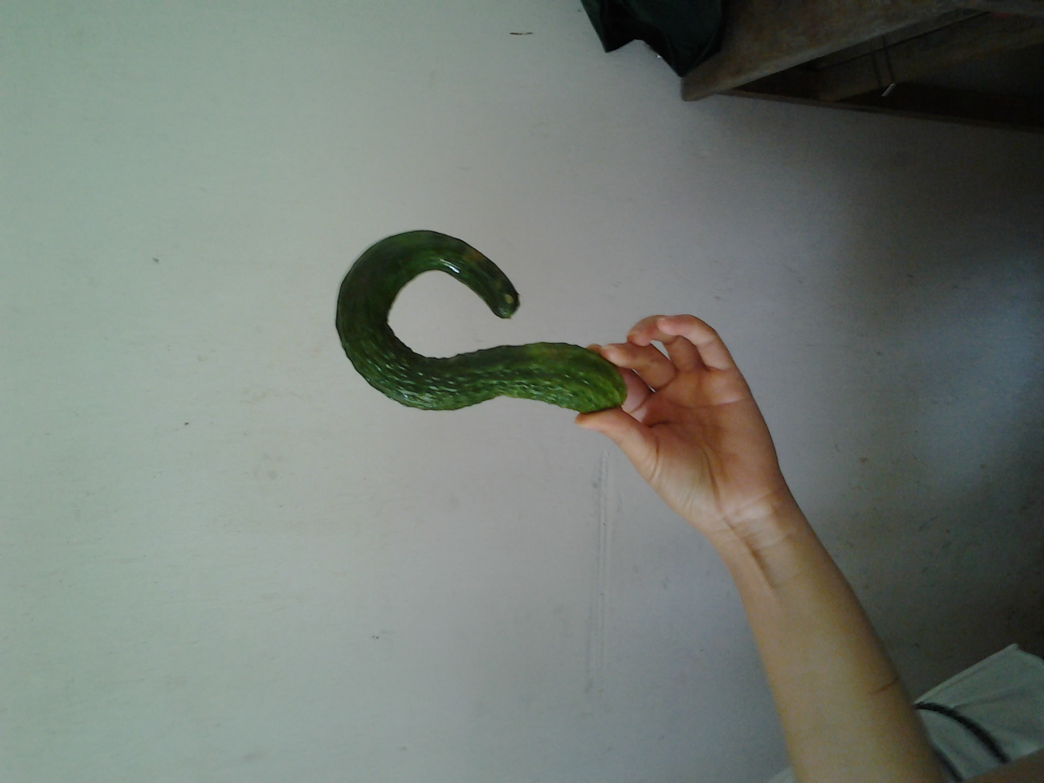 分享我的劳动成果512 / 作者:镜中花 / 帖子ID:91614