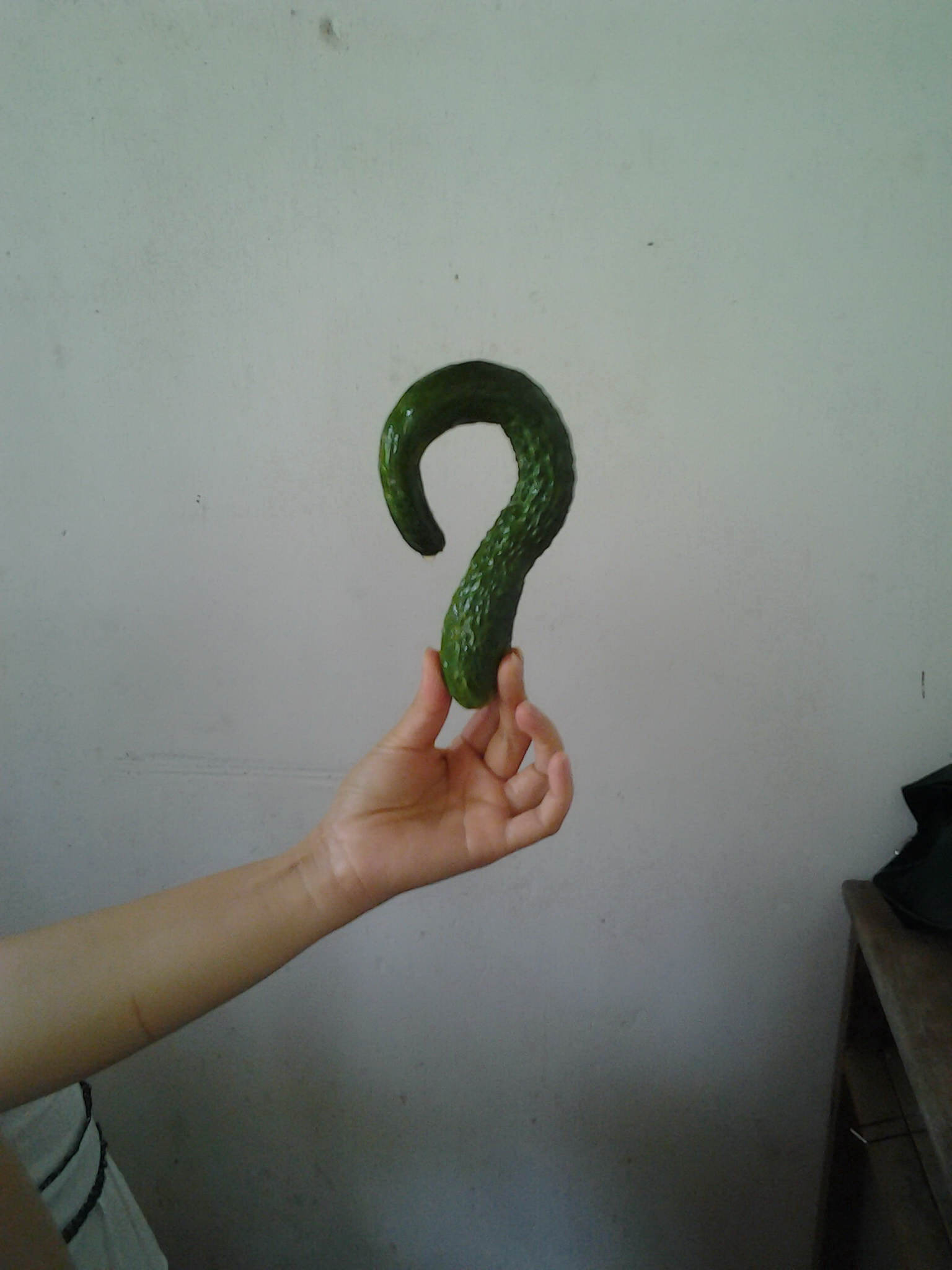 分享我的劳动成果76 / 作者:镜中花 / 帖子ID:91614