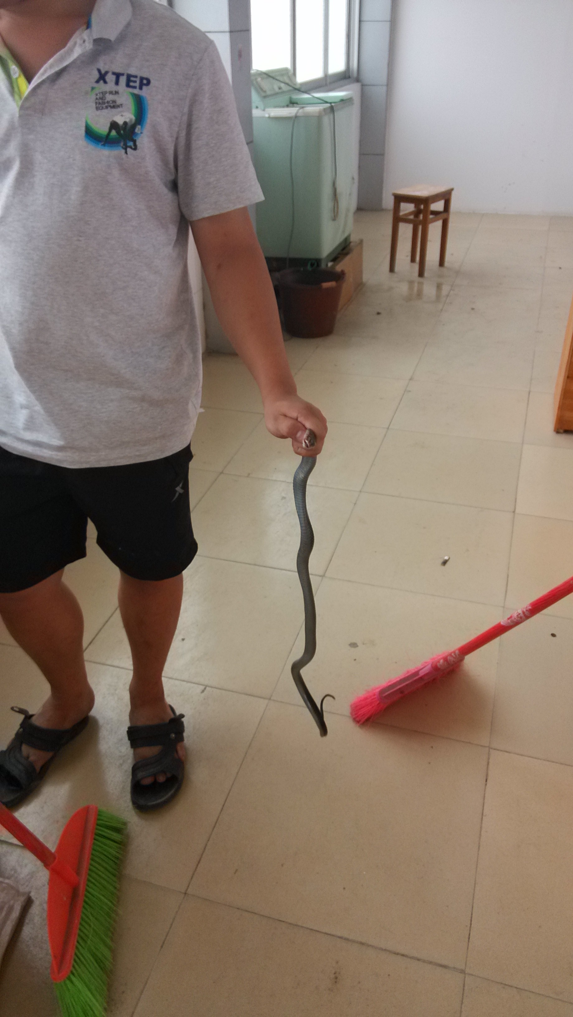 龙凤汤之败笔·······633 / 作者:偏，执 / 帖子ID:91638