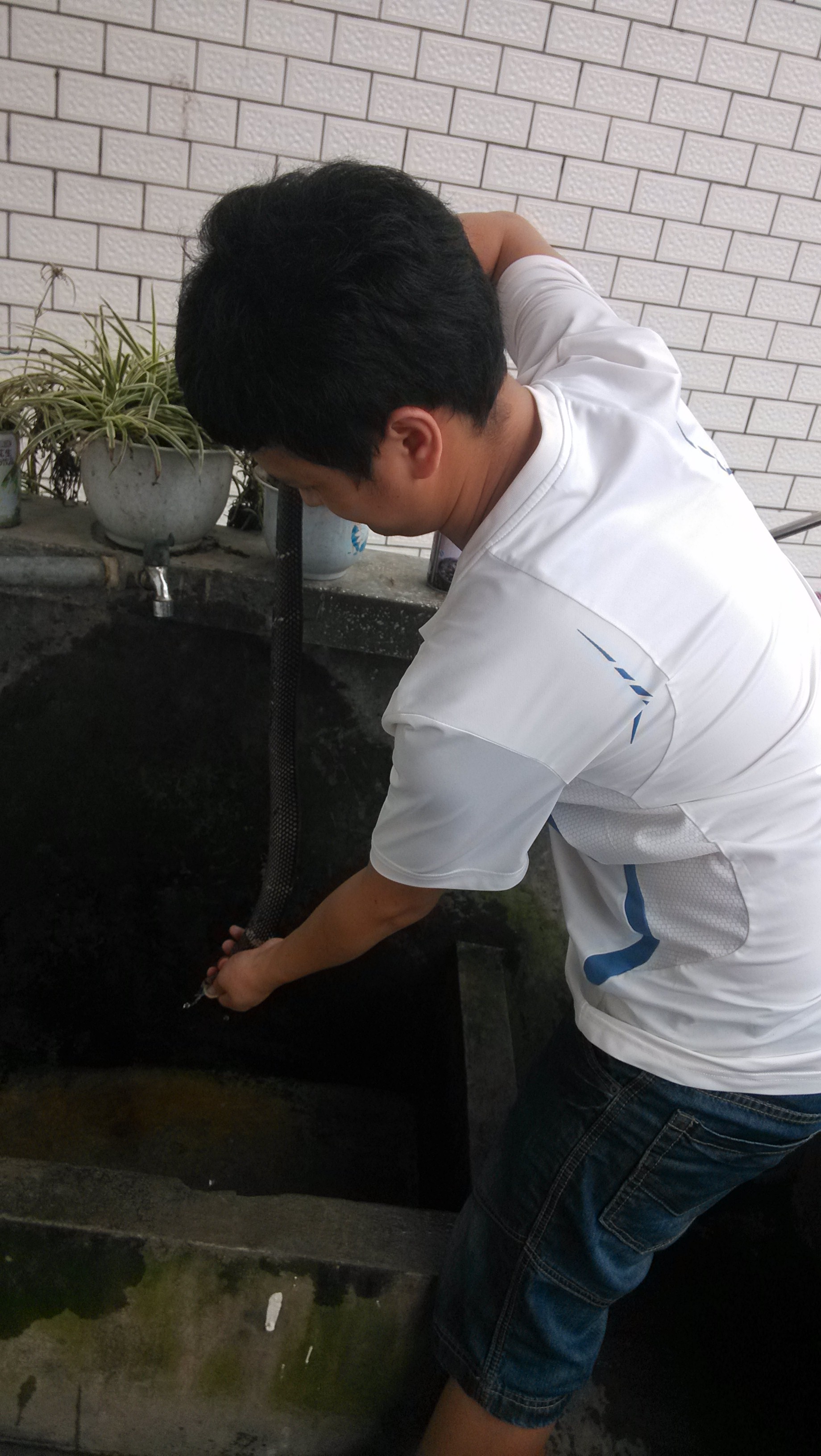 龙凤汤之败笔·······872 / 作者:偏，执 / 帖子ID:91638