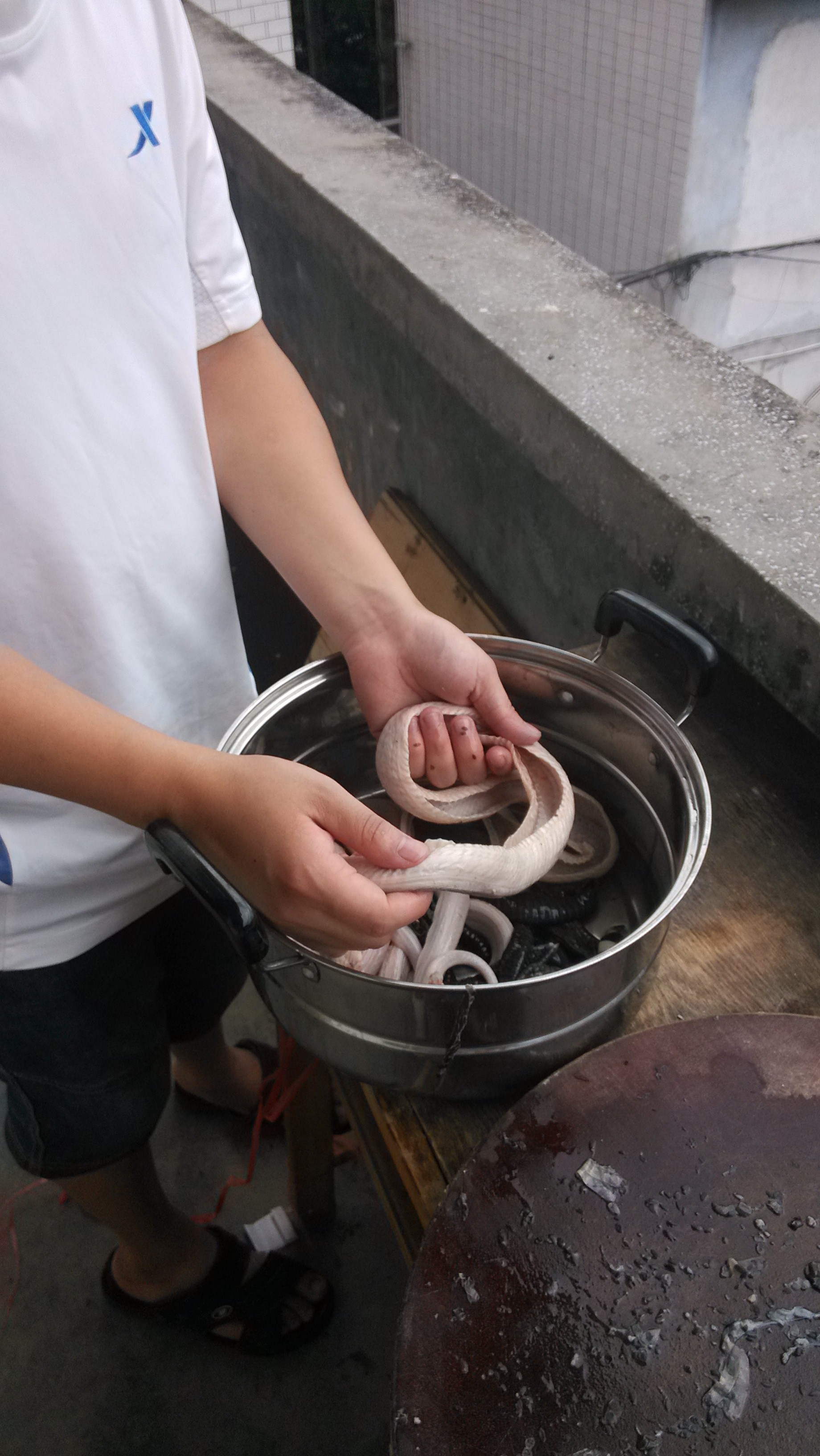 龙凤汤之败笔·······291 / 作者:偏，执 / 帖子ID:91638