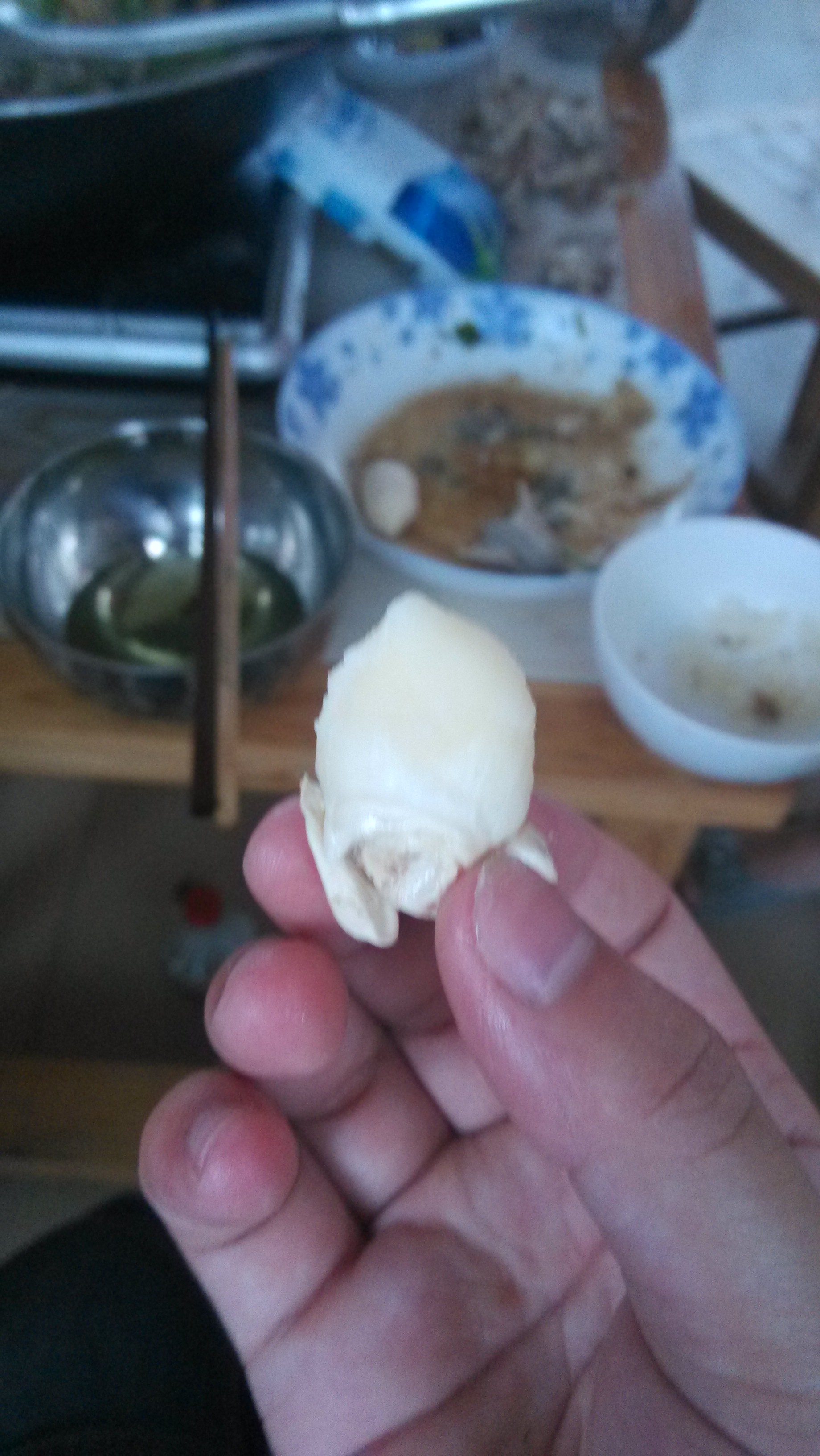 龙凤汤之败笔·······67 / 作者:偏，执 / 帖子ID:91638