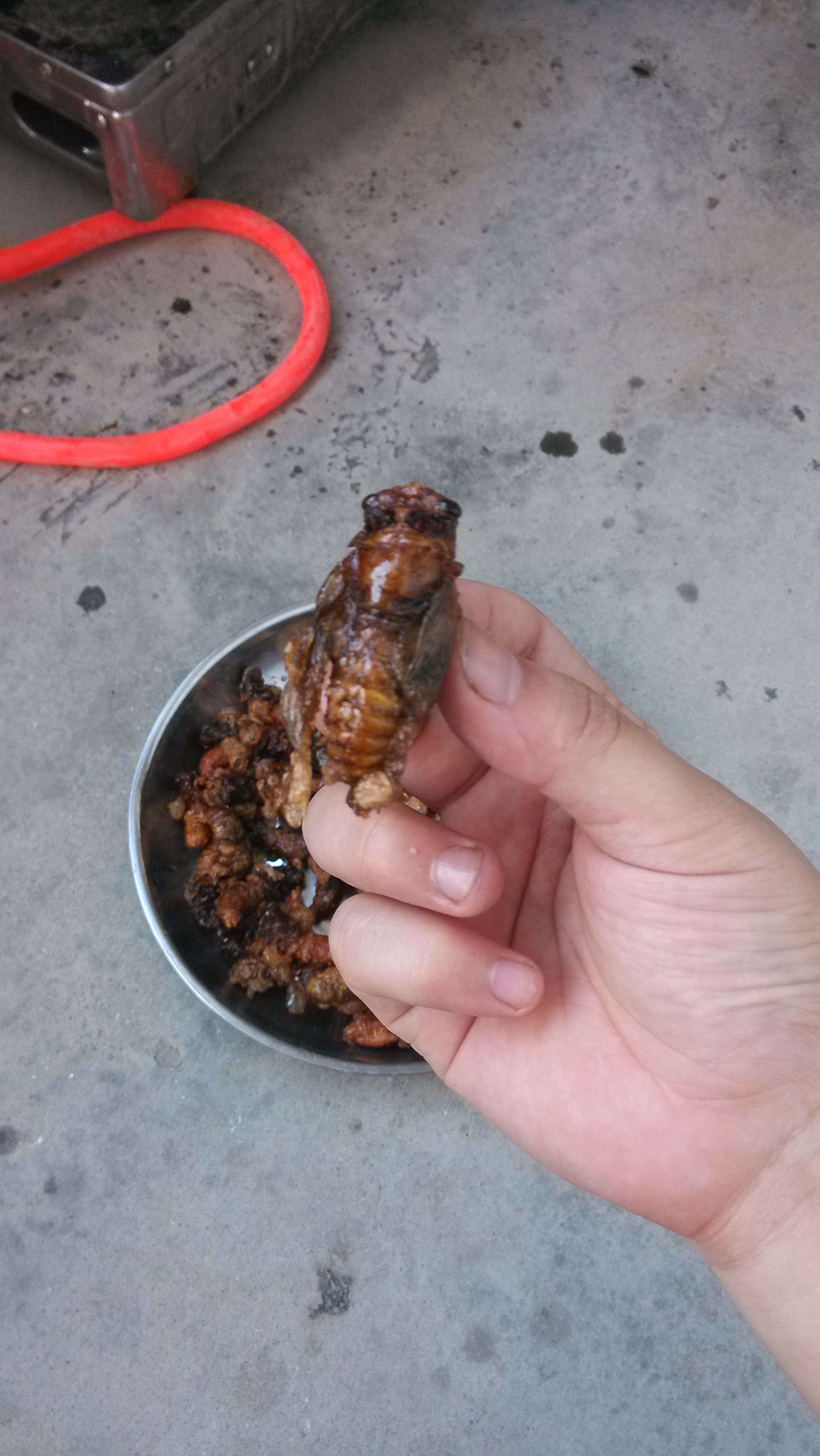 哈哈，秒杀麻蛋的下酒菜·······572 / 作者:偏，执 / 帖子ID:91936