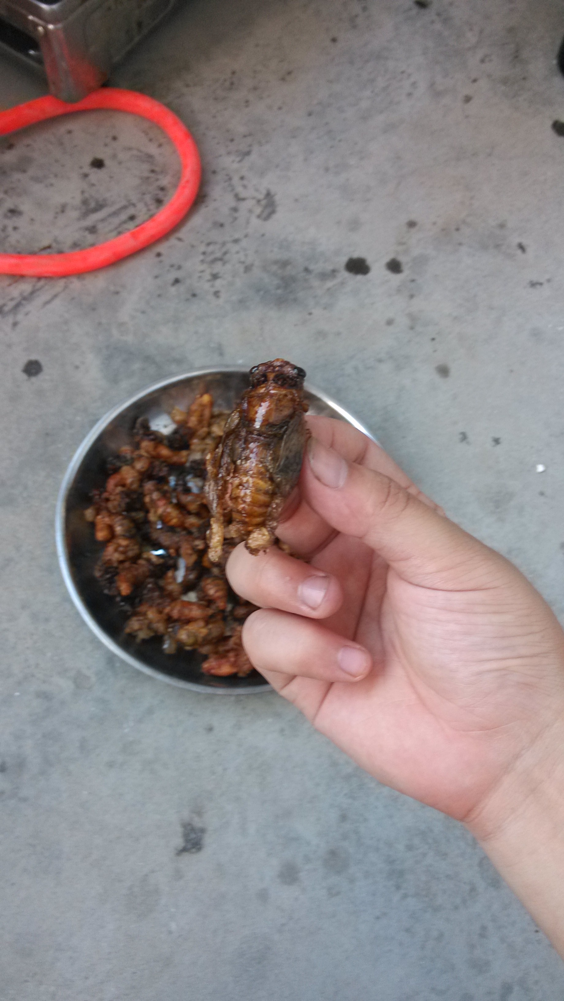哈哈，秒杀麻蛋的下酒菜·······931 / 作者:偏，执 / 帖子ID:91936