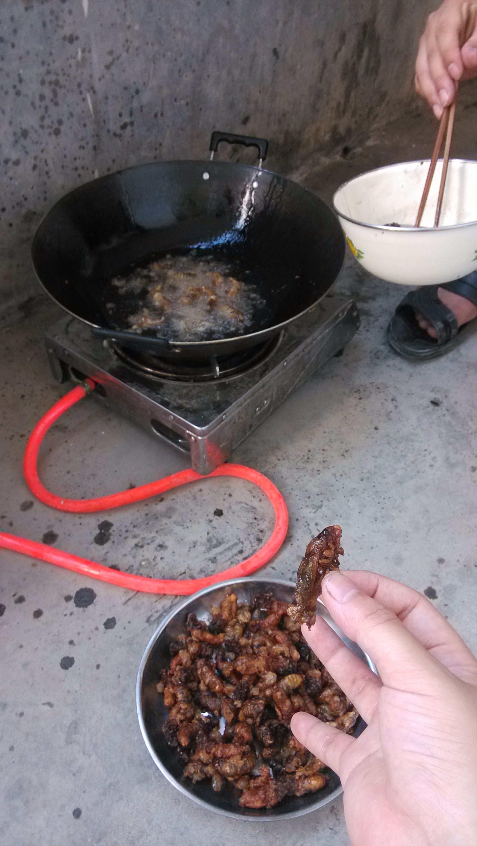 哈哈，秒杀麻蛋的下酒菜·······217 / 作者:偏，执 / 帖子ID:91936
