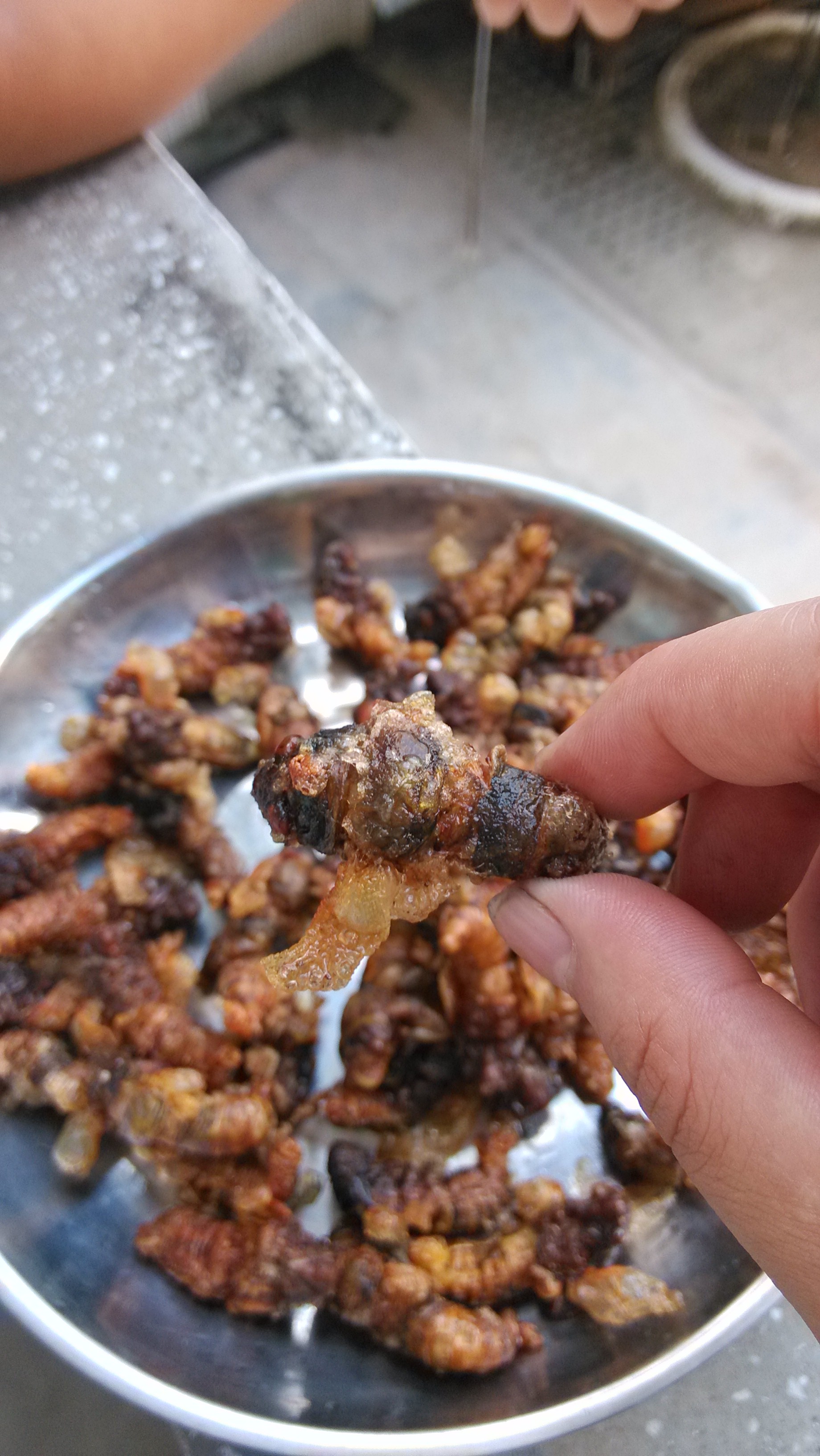 哈哈，秒杀麻蛋的下酒菜·······38 / 作者:偏，执 / 帖子ID:91936