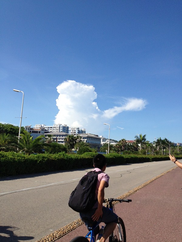 爱这一“厦”   1（曾厝垵、椰风寨篇）931 / 作者:爱哭鬼 / 帖子ID:92357