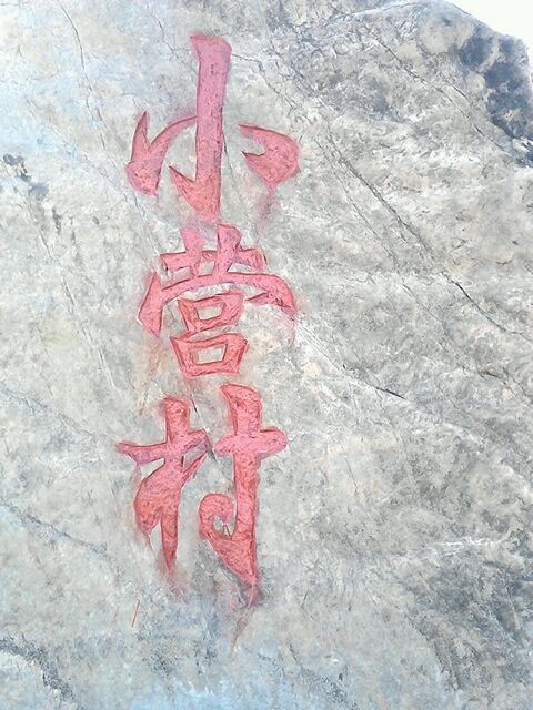 如果可以，我们一起回小营819 / 作者:涛``声依旧 / 帖子ID:92868