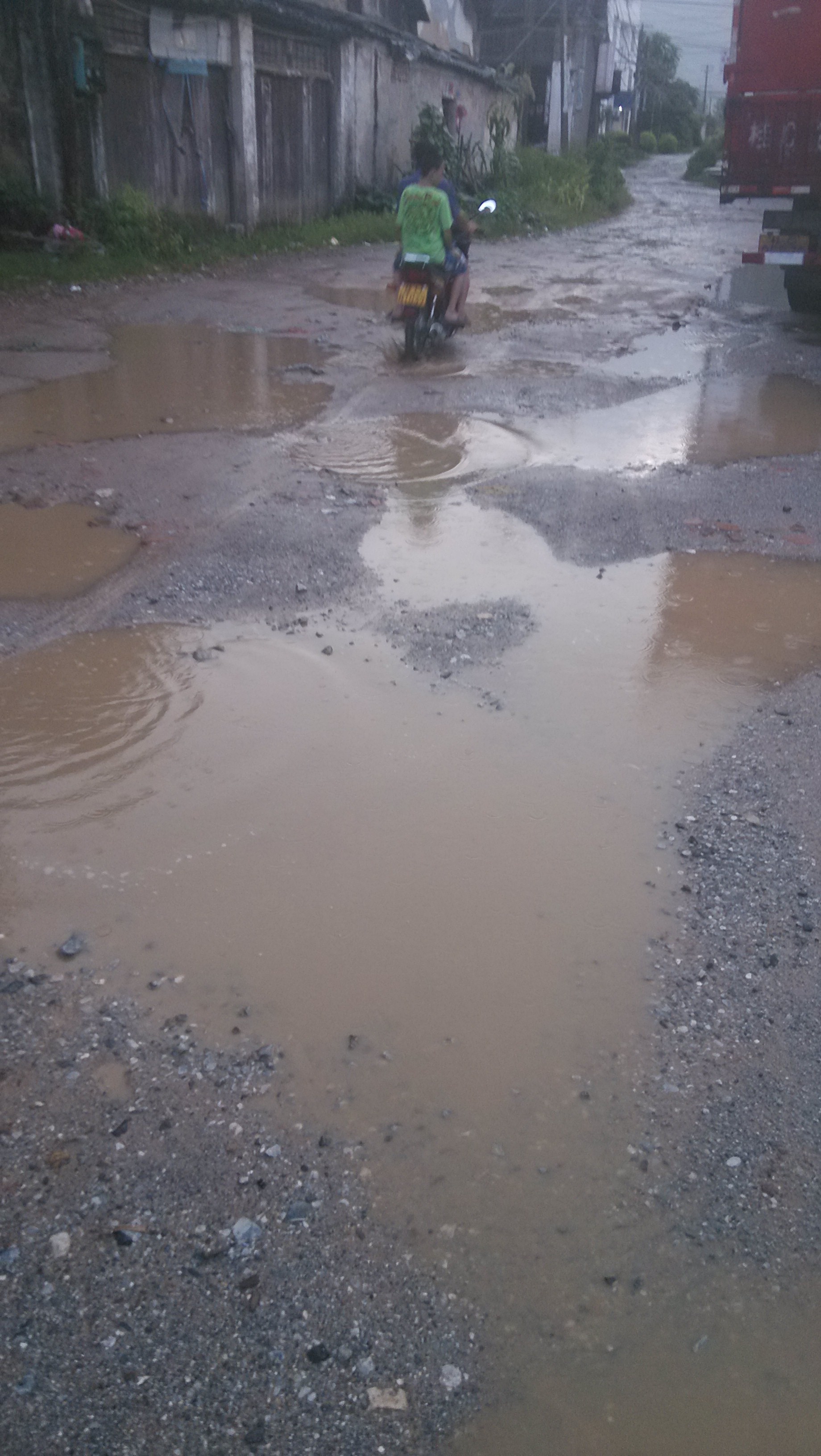 栗木如此镇容。669 / 作者:美人一笑 / 帖子ID:93400