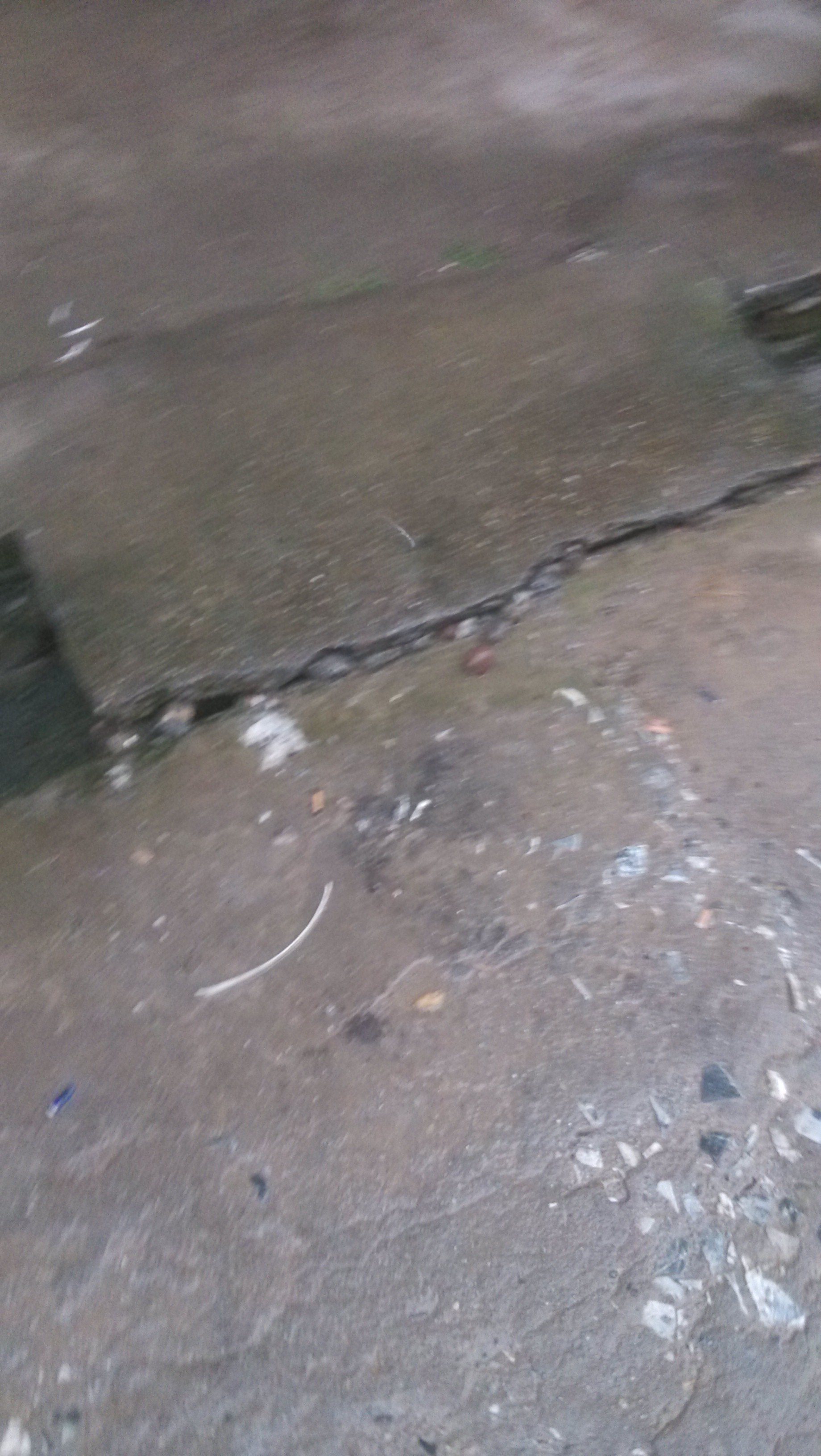 栗木如此镇容。304 / 作者:美人一笑 / 帖子ID:93400